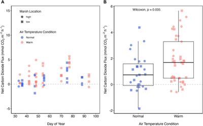 Dormant season warming amplifies daytime CO2 emissions from a temperate urban salt marsh